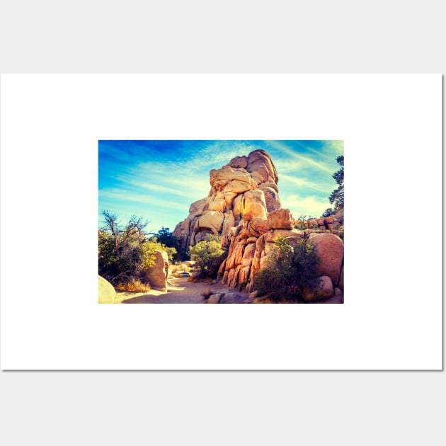 Desert Tones At Joshua Tree National Park Wall Art by Robert Alsop